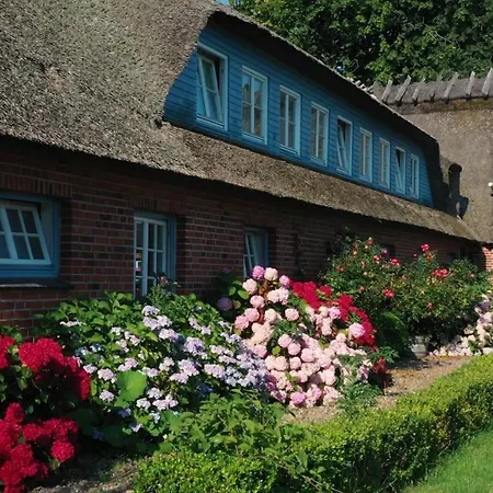 Apartament Strandhaus Falshoeft 3